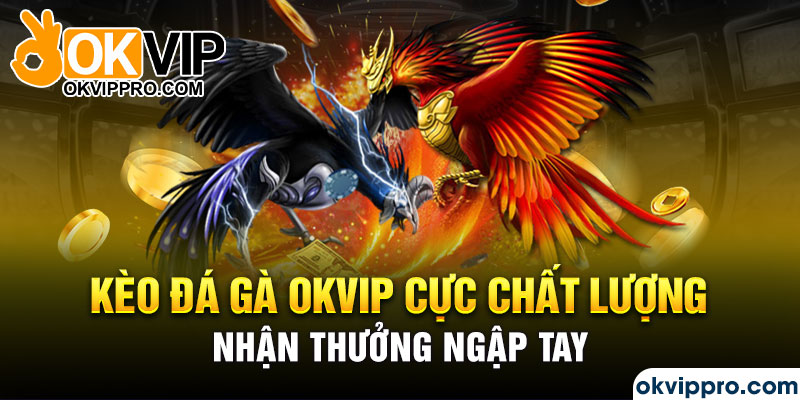 Kèo đá gà Okvip cực chất lượng, nhận thưởng ngập tay