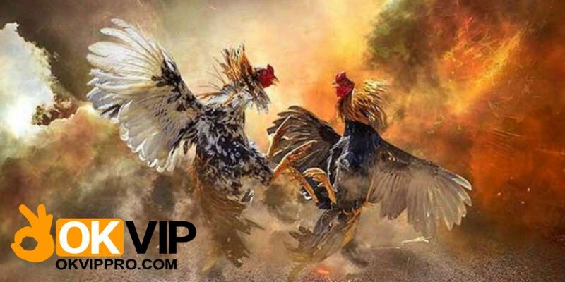 Một trong những yếu tố cần được chú tâm chính là thời điểm đặt cược